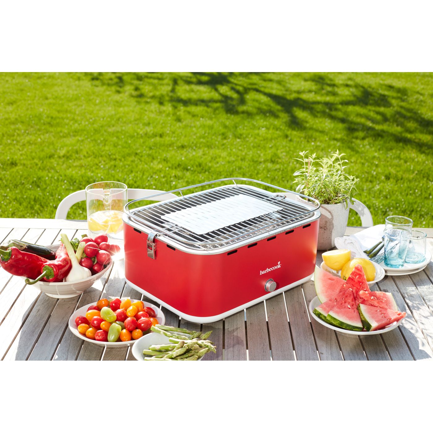 Barbecue grill portatif carlo rouge